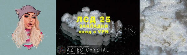 PSILOCYBIN Алзамай