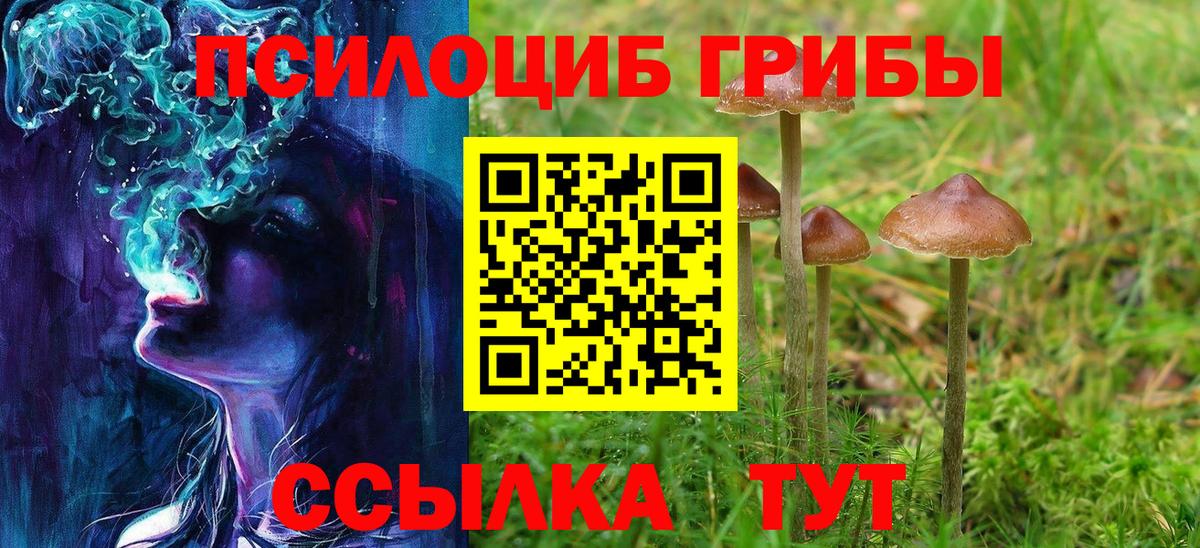 Галлюциногенные грибы прущие грибы  Вход с VPN  Старая Купавна 